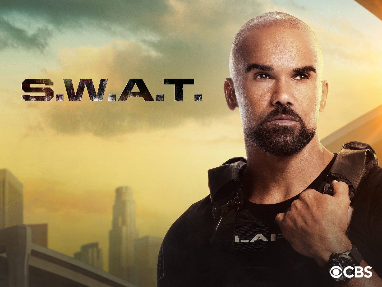 Serie TV S.W.A.T. in italiano - 7 stagioni - Collezione completa