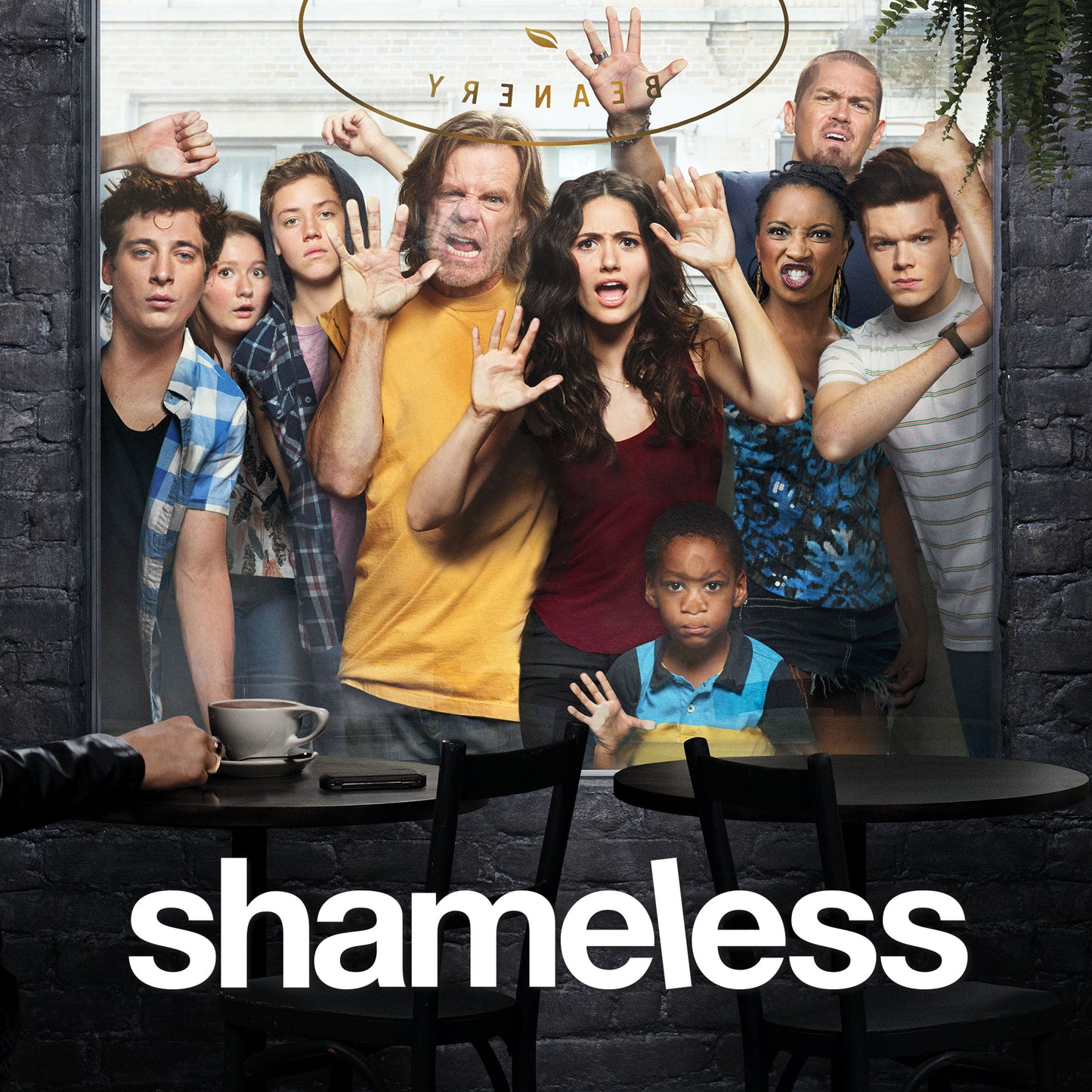 Serie TV Shameless - 11 stagioni - Collezione completa
