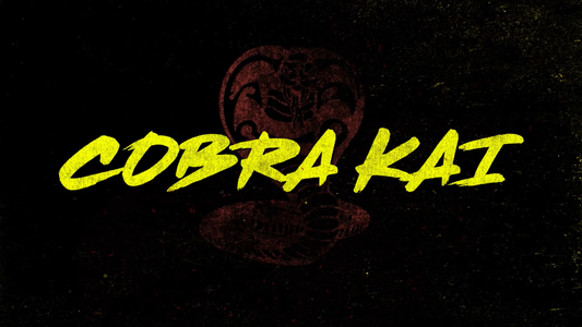 Serie TV Cobra Kai in DVD in italiano - 6 stagioni